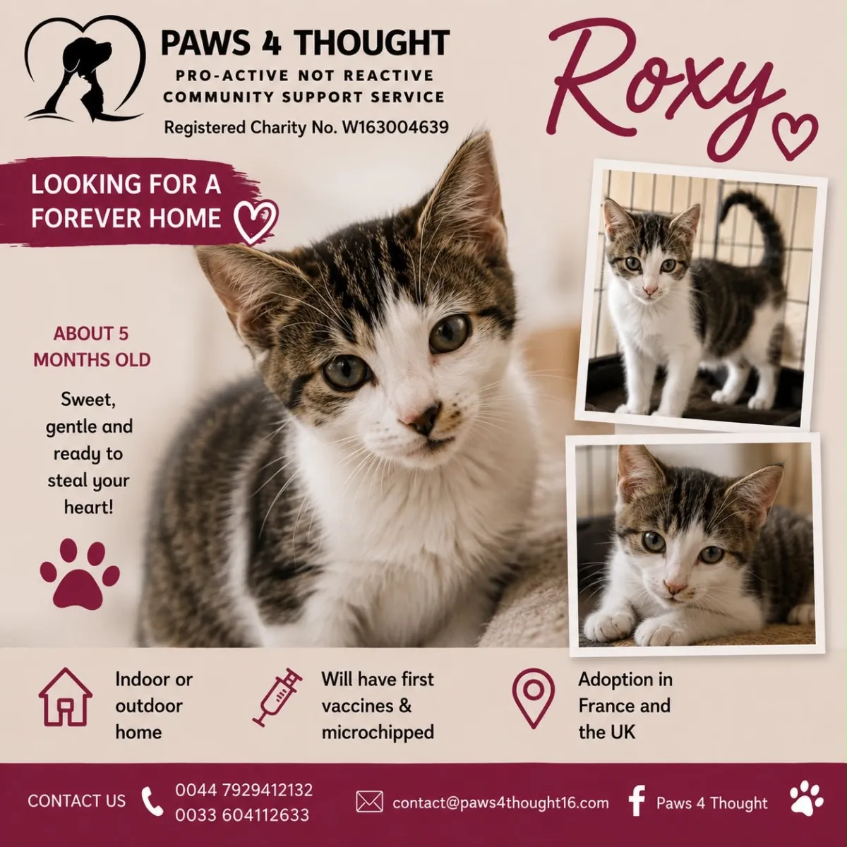 Roxy