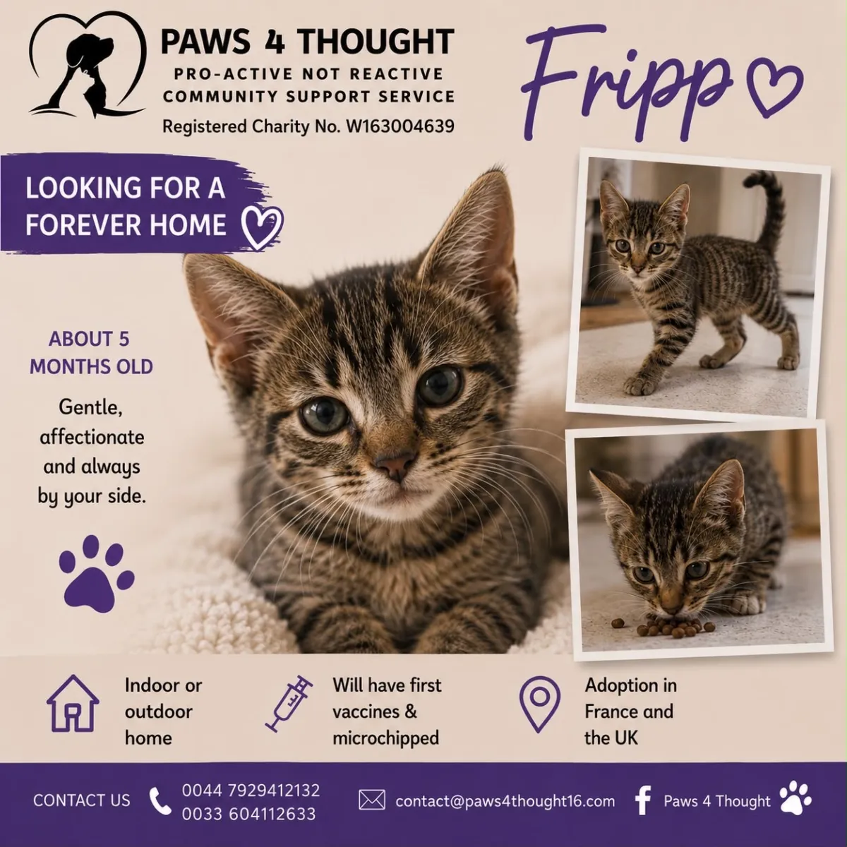 Fripp